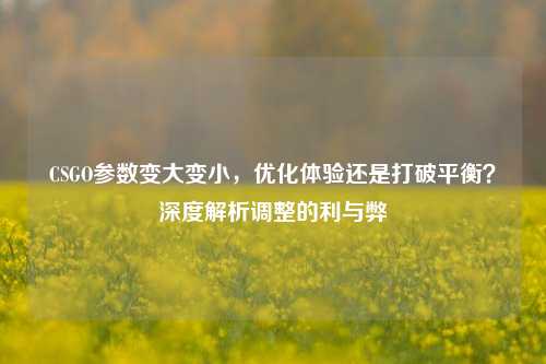 CSGO参数变大变小,优化体验还是打破平衡?深度解析调整的利与弊