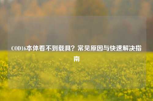 COD16本体看不到载具？常见原因与快速解决指南