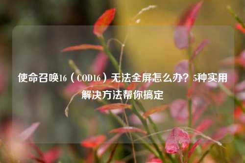 使命召唤16(COD16)无法全屏怎么办?5种实用解决 *** 帮你搞定