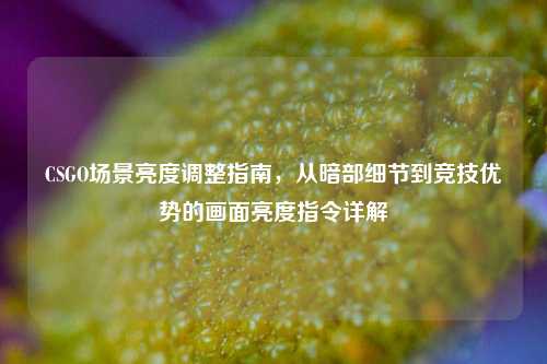 CSGO场景亮度调整指南,从暗部细节到竞技优势的画面亮度指令详解