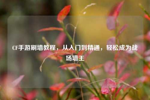 CF手游刷墙教程,从入门到精通,轻松成为战场墙王