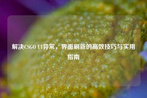 解决CSGO UI异常,界面刷新的高效技巧与实用指南