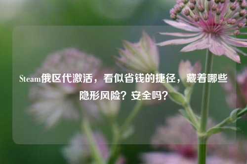 Steam俄区代激活,看似省钱的捷径,藏着哪些隐形风险?安全吗?