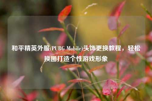 和平精英外服(PUBG Mobile)头饰更换教程，轻松换图打造个性游戏形象