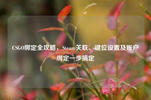 CSGO绑定全攻略,Steam关联、键位设置及账户绑定一步搞定