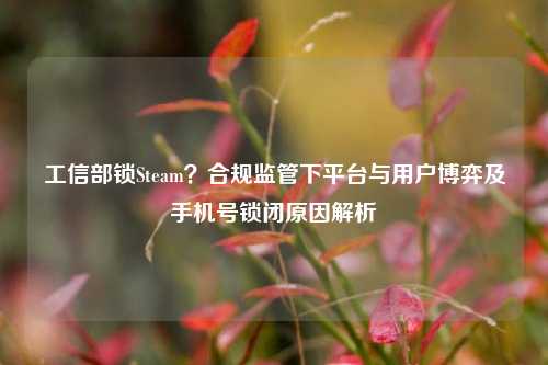 工信部锁Steam?合规监管下平台与用户博弈及手机号锁闭原因解析