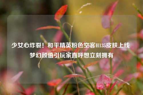 少女心炸裂!和平精英粉色空客H135皮肤上线 梦幻颜值引玩家直呼想立刻拥有