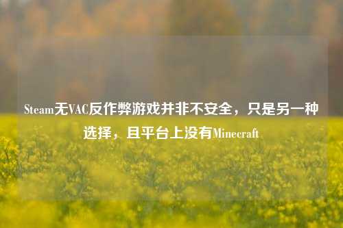 Steam无VAC反作弊游戏并非不安全,只是另一种选择,且平台上没有Minecraft