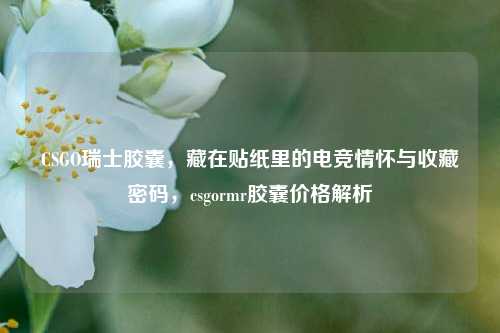 CSGO瑞士胶囊，藏在贴纸里的电竞情怀与收藏密码，csgormr胶囊价格解析