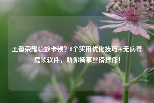 王者荣耀帧数卡顿？8个实用优化技巧+无病毒提帧软件，助你畅享丝滑操作！