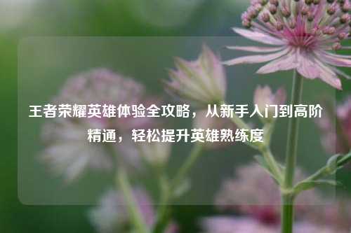 王者荣耀英雄体验全攻略,从新手入门到高阶精通,轻松提升英雄熟练度