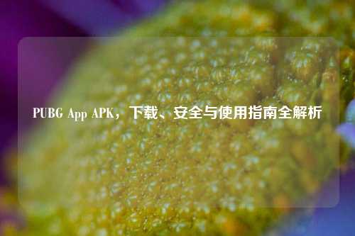 PUBG App APK,下载、安全与使用指南全解析