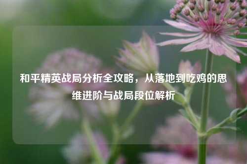 和平精英战局分析全攻略,从落地到吃鸡的思维进阶与战局段位解析