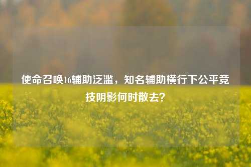 使命召唤16辅助泛滥，知名辅助横行下公平竞技阴影何时散去？