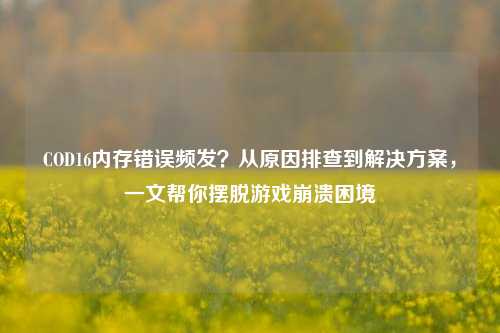 COD16内存错误频发?从原因排查到解决方案,一文帮你摆脱游戏崩溃困境