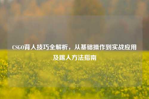 CSGO背人技巧全解析,从基础操作到实战应用及踢人 *** 指南