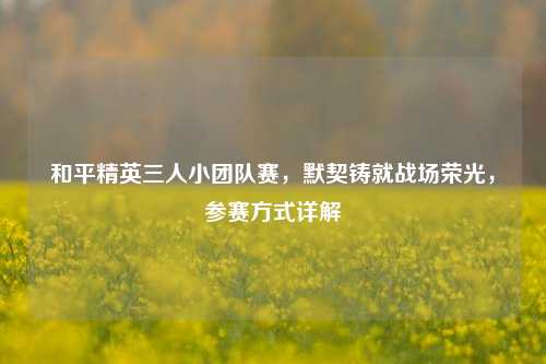 和平精英三人小团队赛,默契铸就战场荣光,参赛方式详解