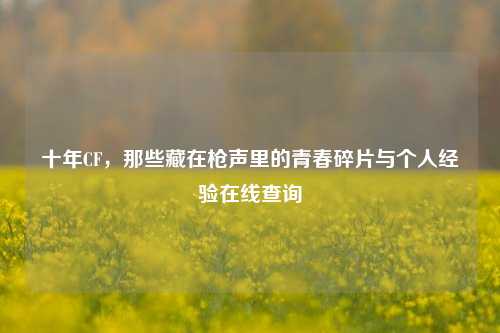 十年CF，那些藏在枪声里的青春碎片与个人经验在线查询