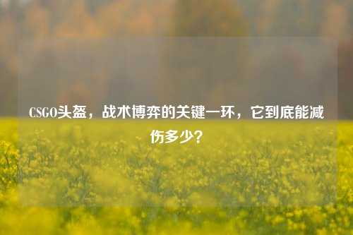 CSGO头盔,战术博弈的关键一环,它到底能减伤多少?