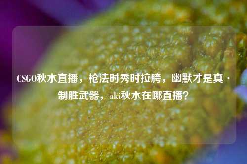 CSGO秋水直播，枪法时秀时拉胯，幽默才是真·制胜武器，aki秋水在哪直播？