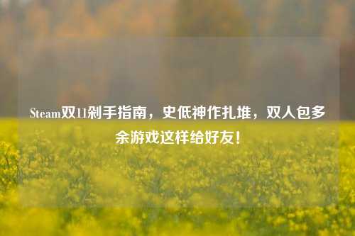 Steam双11剁手指南,史低神作扎堆,双人包多余游戏这样给好友!