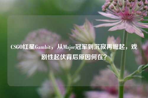 CSGO红星Gambit,从Major冠军到沉寂再崛起,戏剧性起伏背后原因何在?