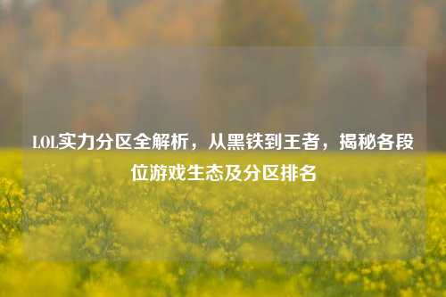 LOL实力分区全解析,从黑铁到王者,揭秘各段位游戏生态及分区排名
