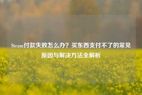 Steam付款失败怎么办？买东西支付不了的常见原因与解决 *** 全解析