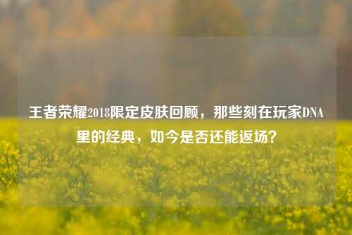 王者荣耀2018限定皮肤回顾,那些刻在玩家DNA里的经典,如今是否还能返场?