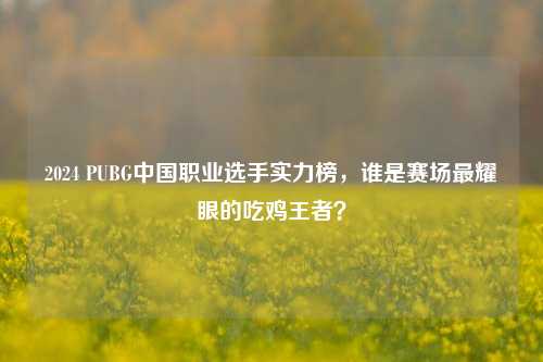 2024 PUBG中国职业选手实力榜,谁是赛场最耀眼的吃鸡王者?
