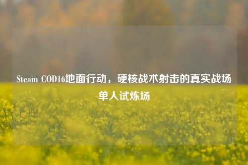 Steam COD16地面行动,硬核战术射击的真实战场单人试炼场