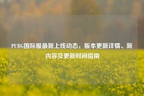 PUBG国际服最新上线动态,版本更新详情、新内容及更新时间指南
