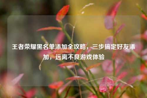王者荣耀黑名单添加全攻略,三步搞定好友添加,远离不良游戏体验