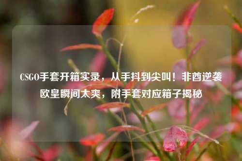 CSGO手套开箱实录，从手抖到尖叫！非酋逆袭欧皇瞬间太爽，附手套对应箱子揭秘