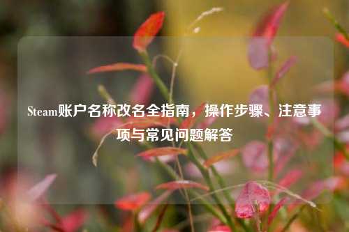 Steam账户名称改名全指南，操作步骤、注意事项与常见问题解答