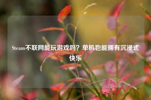 Steam不联网能玩游戏吗?单机也能拥有沉浸式快乐