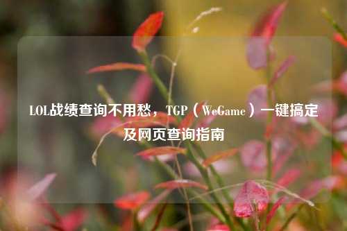 LOL战绩查询不用愁,TGP(WeGame)一键搞定及网页查询指南
