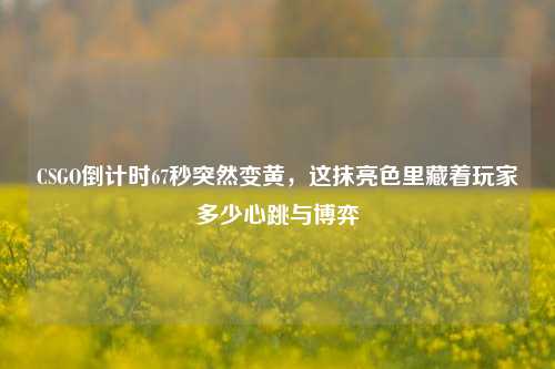 CSGO倒计时67秒突然变黄,这抹亮色里藏着玩家多少心跳与博弈