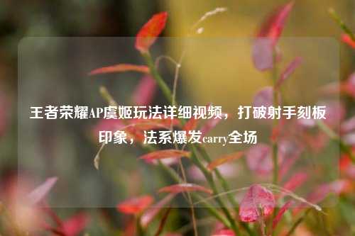 王者荣耀AP虞姬玩法详细视频,打破射手刻板印象,法系爆发carry全场