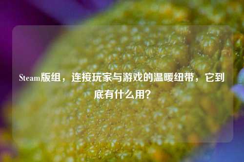 Steam版组,连接玩家与游戏的温暖纽带,它到底有什么用?