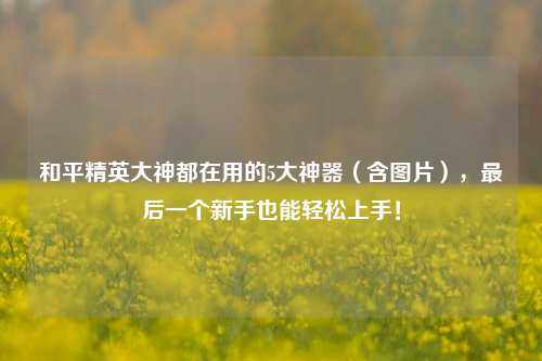 和平精英大神都在用的5大神器(含图片),最后一个新手也能轻松上手!