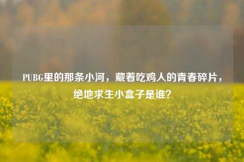 PUBG里的那条小河,藏着吃鸡人的青春碎片,绝地求生小盒子是谁?