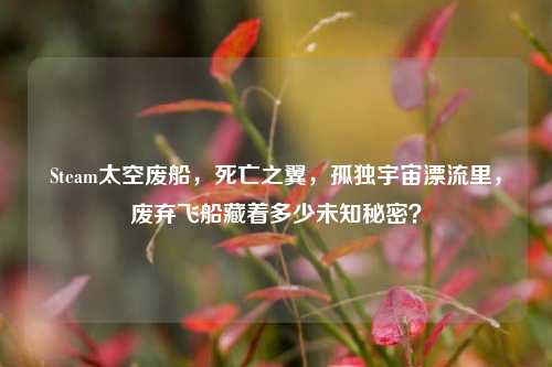 Steam太空废船,死亡之翼,孤独宇宙漂流里,废弃飞船藏着多少未知秘密?