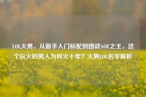 LOL火男,从新手入门标配到团战AOE之王,这个玩火的男人为何火十年?火男LOL名字解析