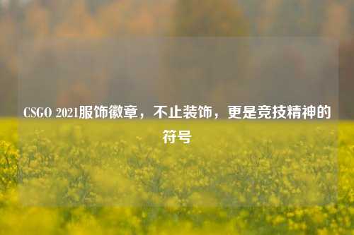 CSGO 2021服饰徽章，不止装饰，更是竞技精神的符号
