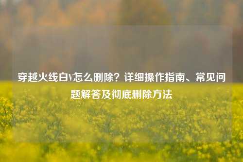 穿越火线白V怎么删除?详细操作指南、常见问题解答及彻底删除 ***