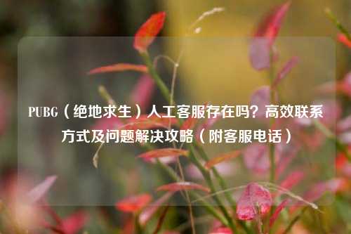 PUBG(绝地求生)人工 *** 存在吗?高效联系方式及问题解决攻略(附 *** *** )