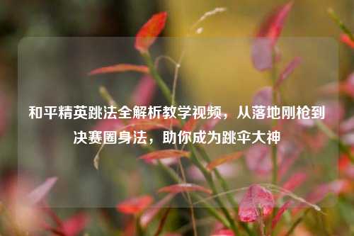 和平精英跳法全解析教学视频,从落地刚枪到决赛圈身法,助你成为跳伞大神