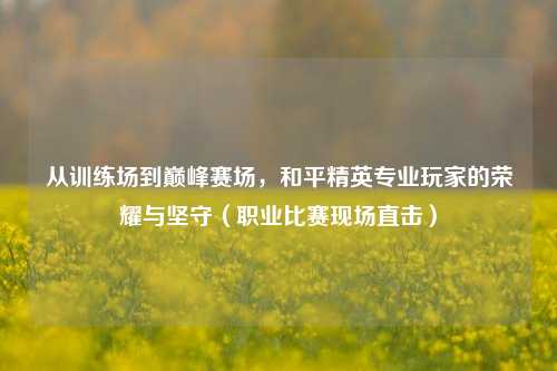 从训练场到巅峰赛场,和平精英专业玩家的荣耀与坚守(职业比赛现场直击)