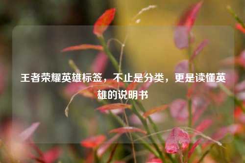 王者荣耀英雄标签,不止是分类,更是读懂英雄的说明书